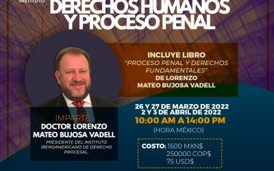 CURSO DE DERECHOS HUMANOS Y PROCESO PENAL