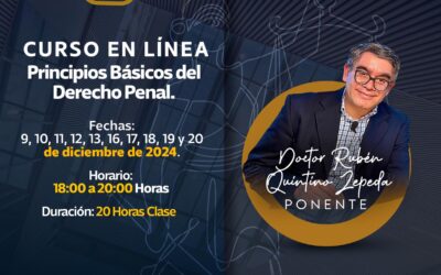 CURSO EN LINEA PRINCIPIOS BÁSICOS DEL DERECHO PENAL